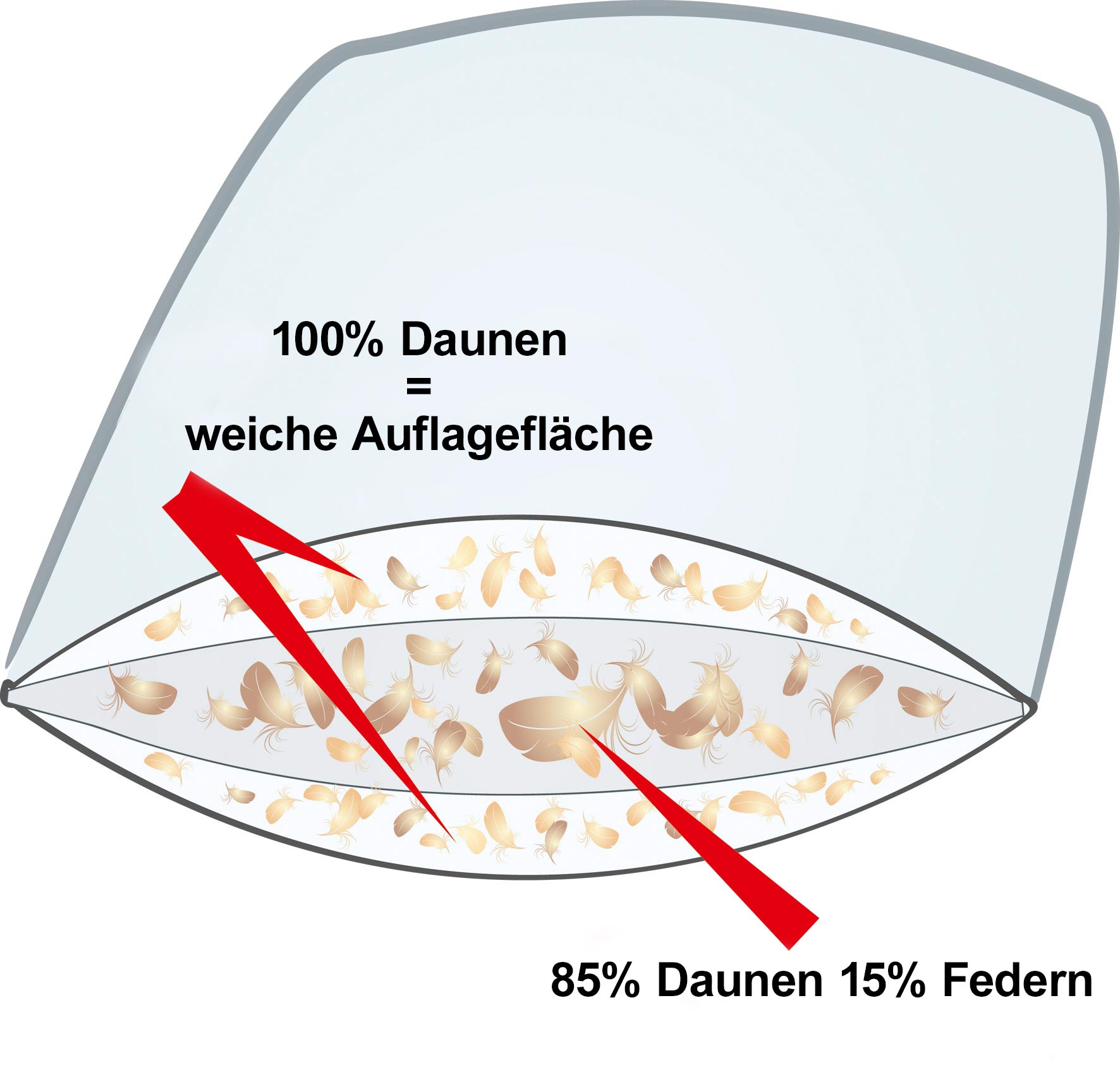 Querschnitt