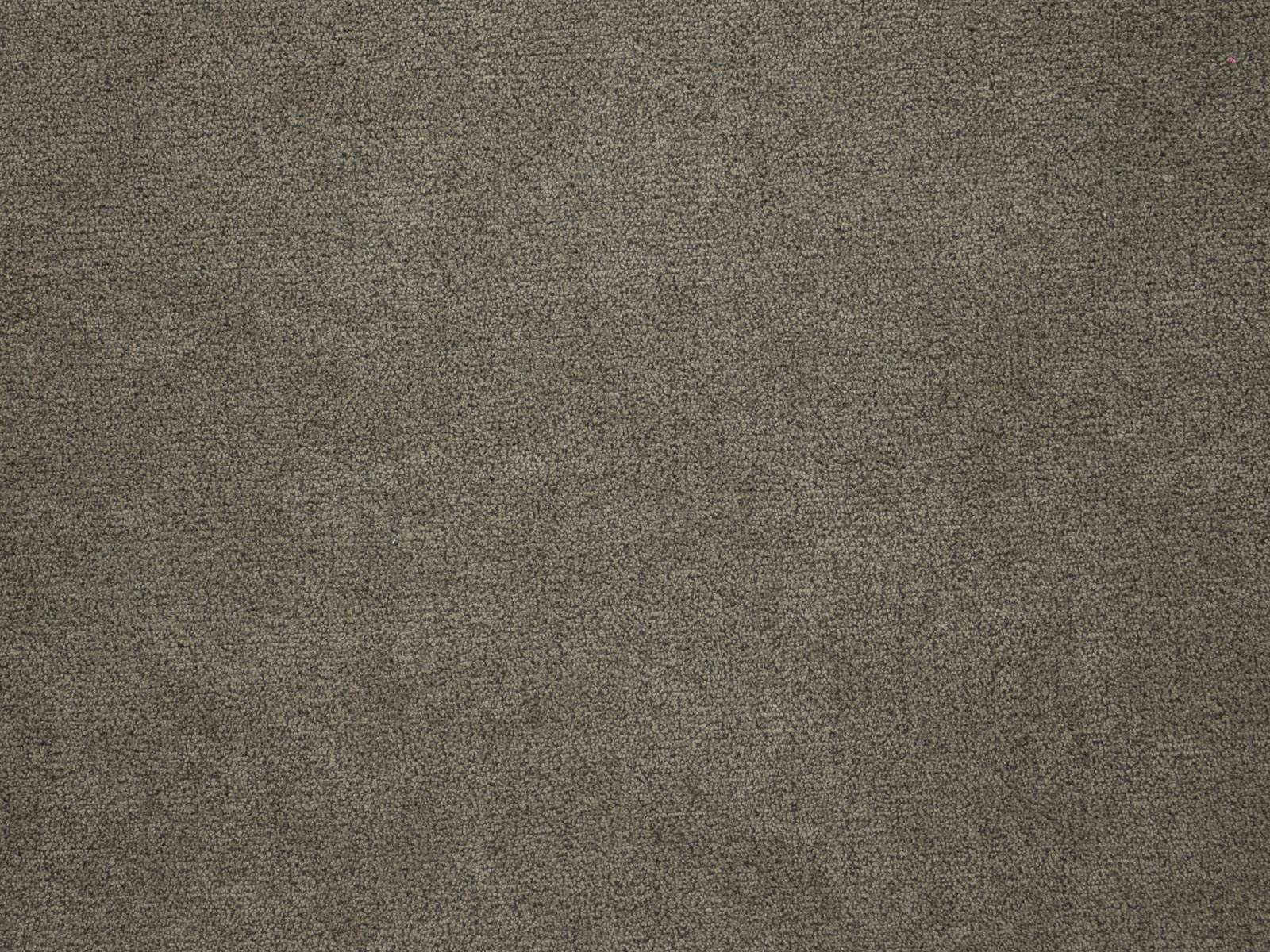 Farbe Stone