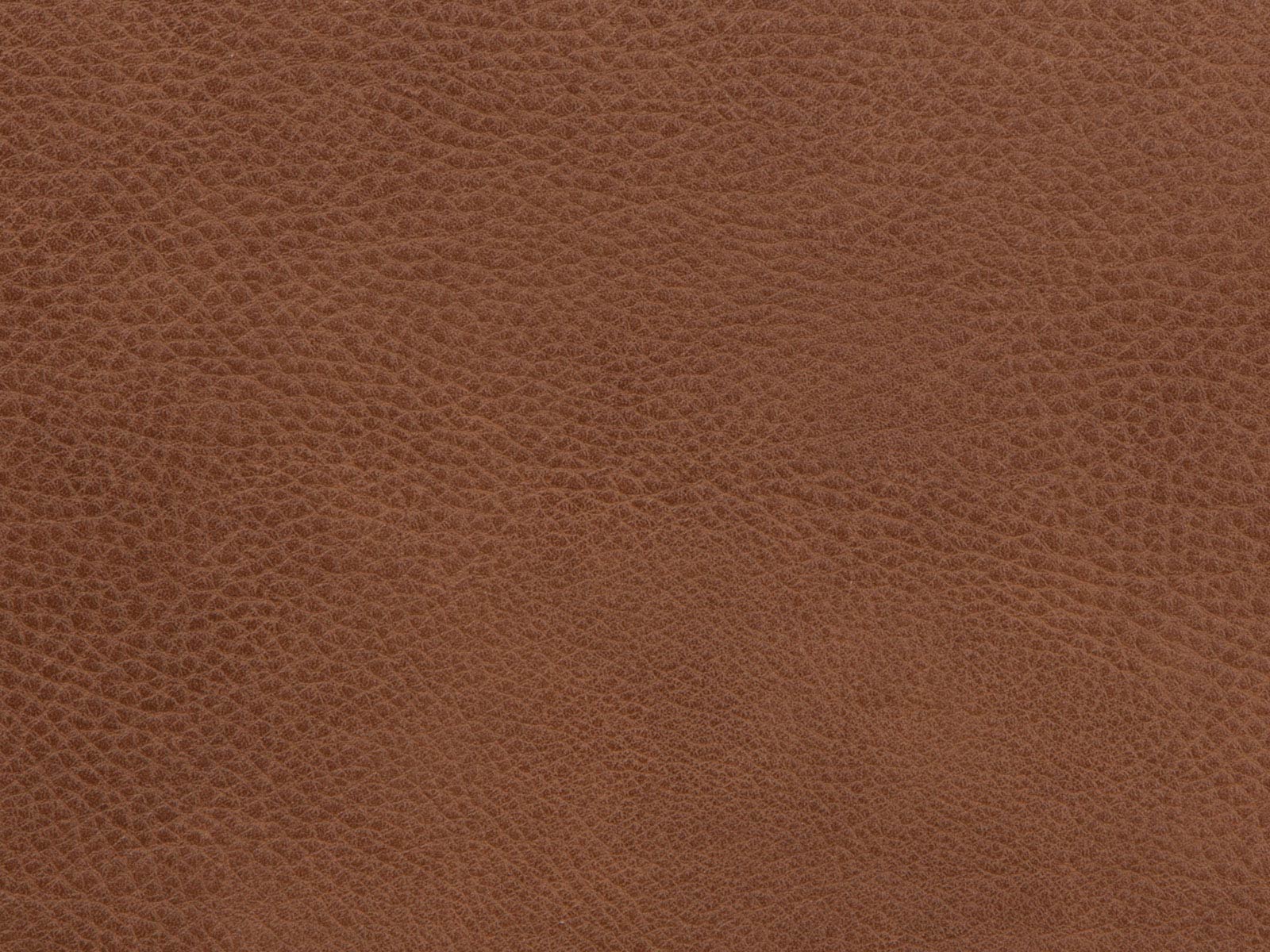 Casual Cognac 332