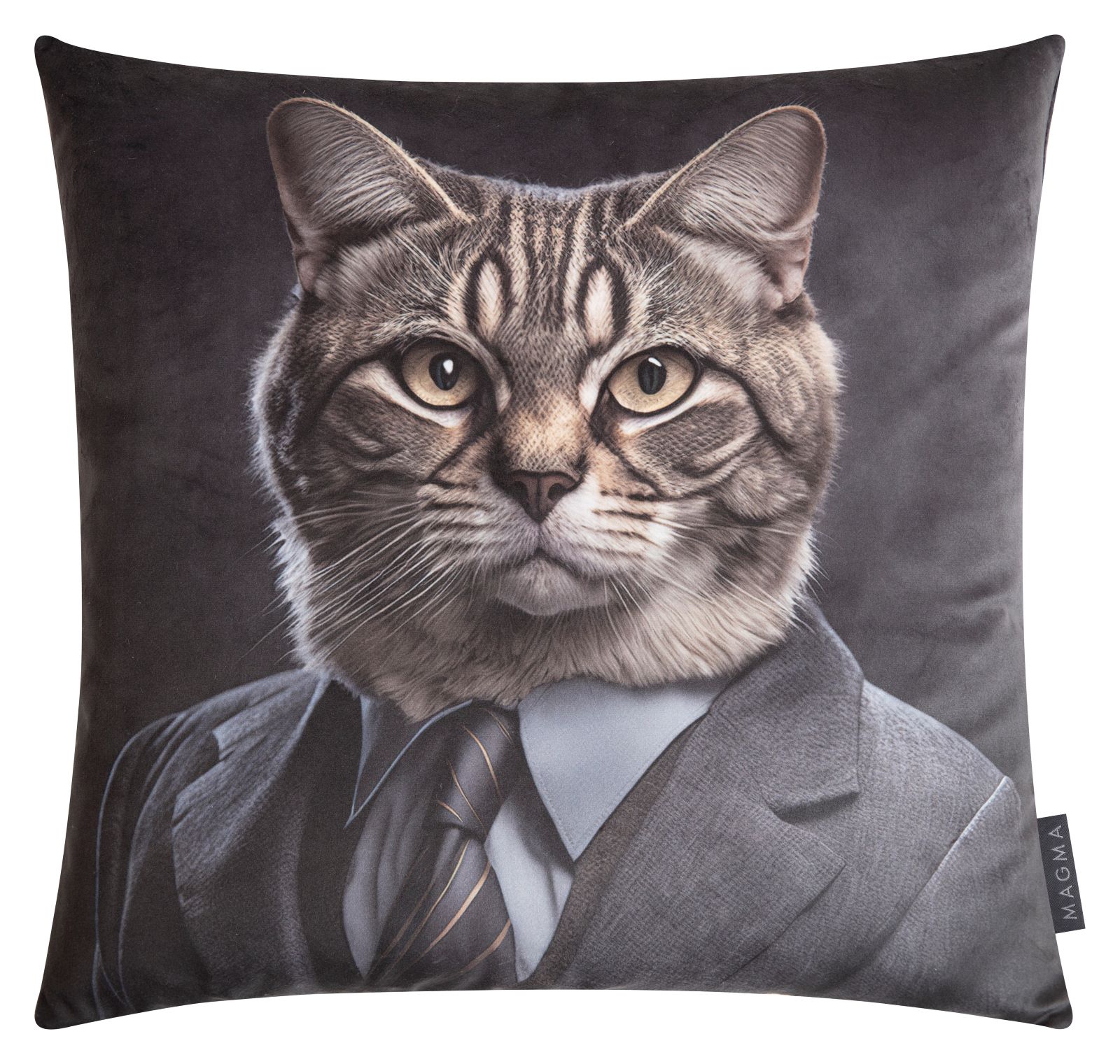 Katze