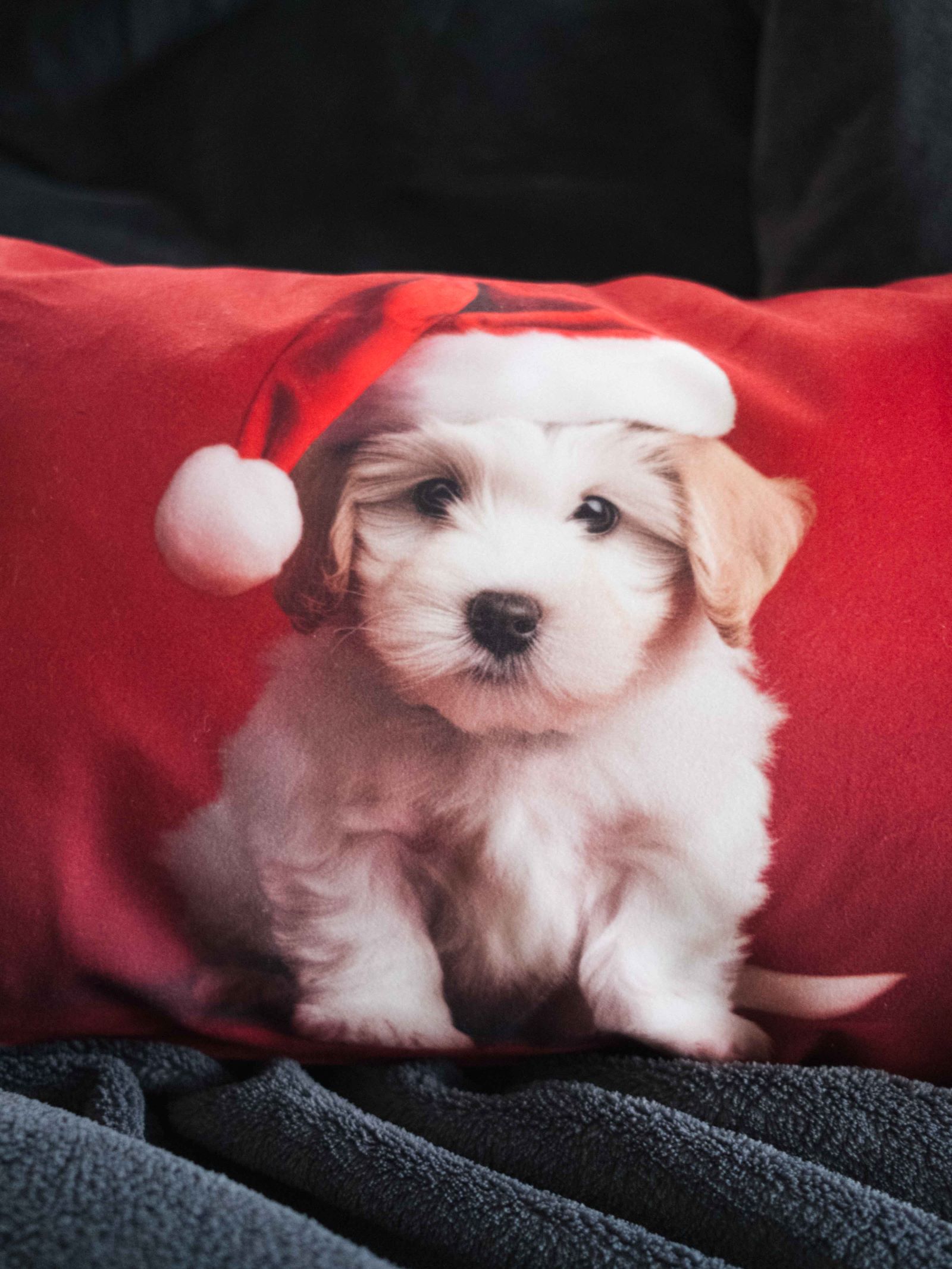 WAUWAU XMAS